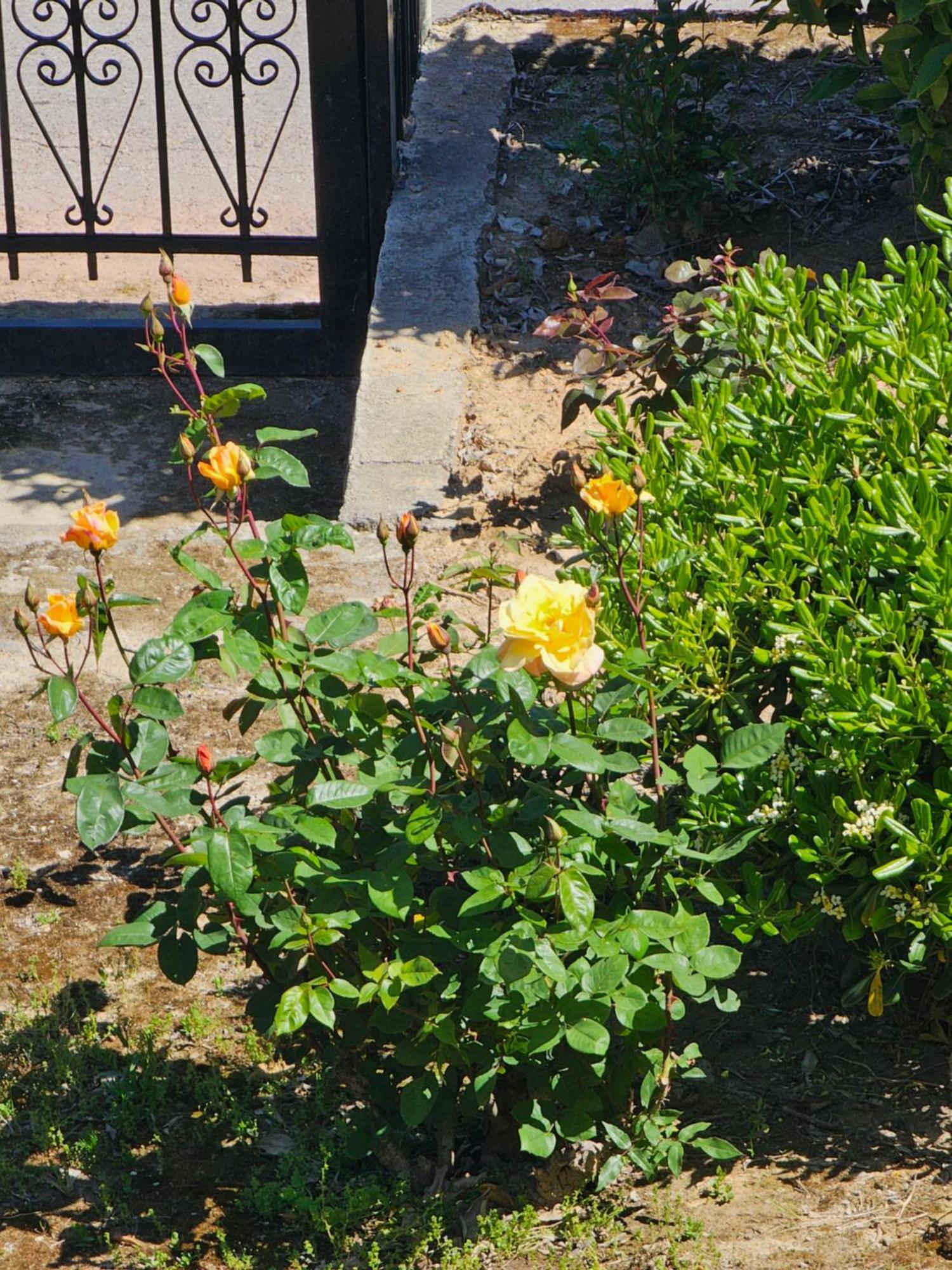 Country Side House Βίλα Koróni Εξωτερικό φωτογραφία