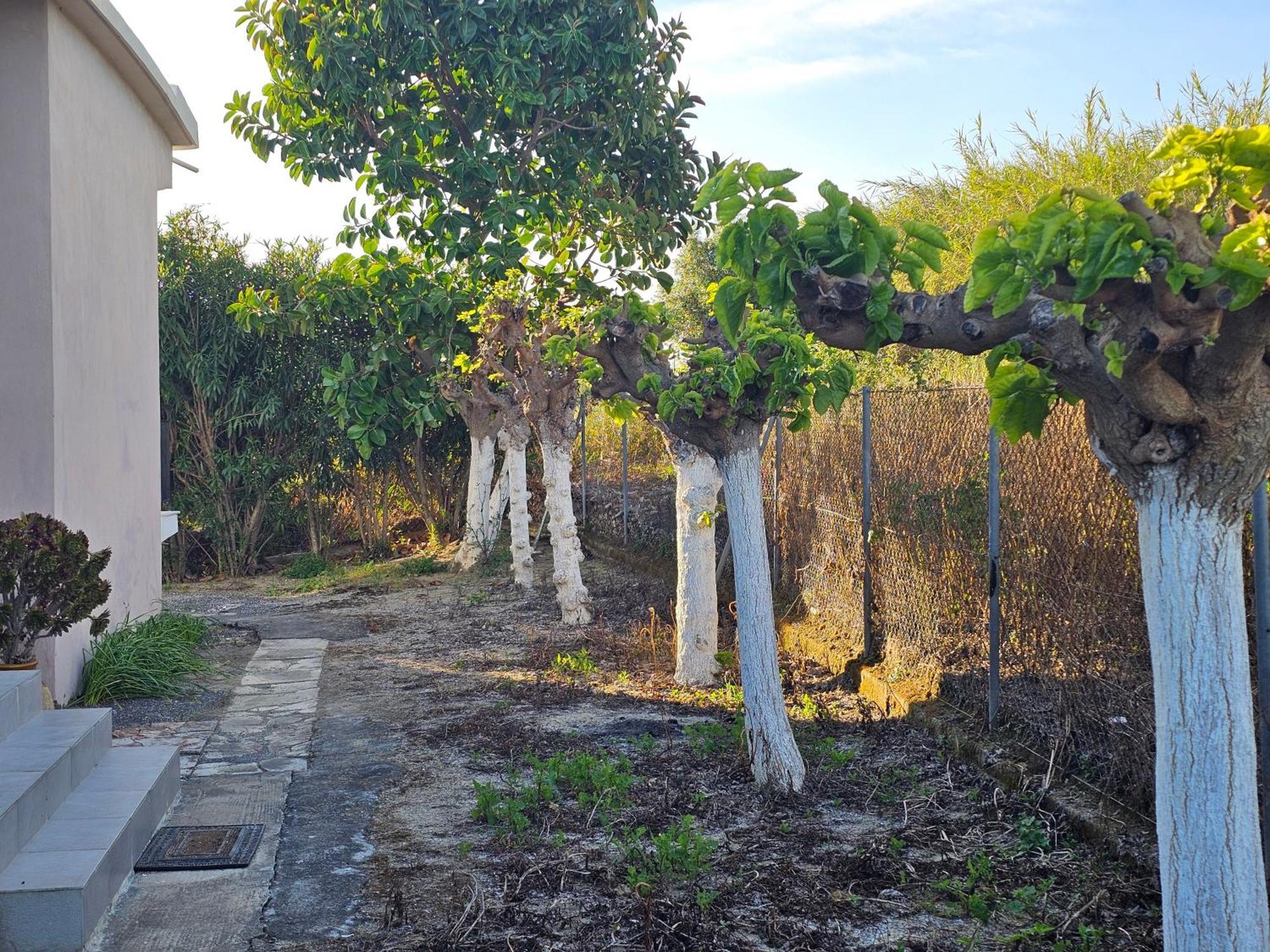 Country Side House Βίλα Koróni Εξωτερικό φωτογραφία